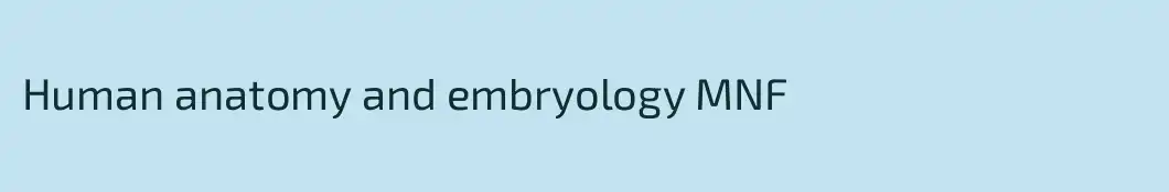 Human anatomy and embryology MNF